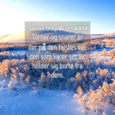 Picture 04 - Salomos Ordspråk 22:5 NORSK - Torner og snarer er der på den falskes vei; den - Bible Verse Picture