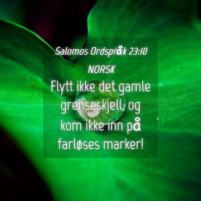 Picture 04 - Salomos Ordspråk 23:10 NORSK - Flytt ikke det gamle grenseskjell, og kom ikke - Bible Verse Picture