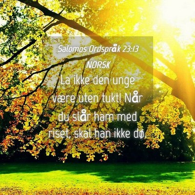 Picture 04 - Salomos Ordspråk 23:13 NORSK - La ikke den unge være uten tukt! Når du slår - Bible Verse Picture