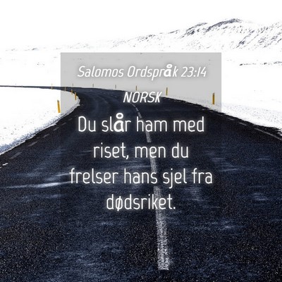Picture 04 - Salomos Ordspråk 23:14 NORSK - Du slår ham med riset, men du frelser hans sjel - Bible Verse Picture