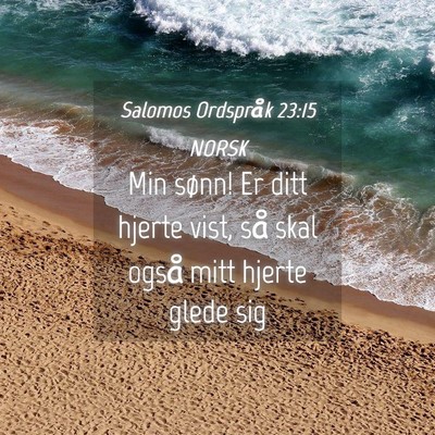 Picture 04 - Salomos Ordspråk 23:15 NORSK - Min sønn! Er ditt hjerte vist, så skal også - Bible Verse Picture