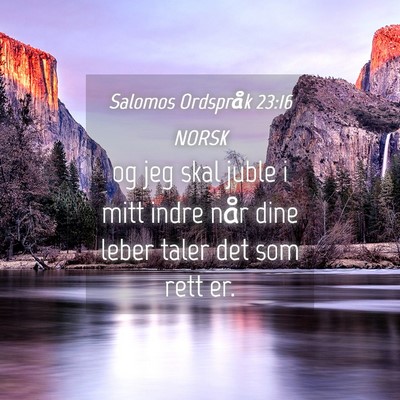 Picture 04 - Salomos Ordspråk 23:16 NORSK - og jeg skal juble i mitt indre når dine leber - Bible Verse Picture