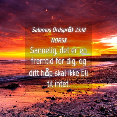 Picture 04 - Salomos Ordspråk 23:18 NORSK - Sannelig, det er en fremtid for dig, og ditt håp - Bible Verse Picture