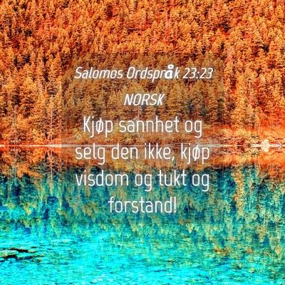 Picture 04 - Salomos Ordspråk 23:23 NORSK - Kjøp sannhet og selg den ikke, kjøp visdom og - Bible Verse Picture