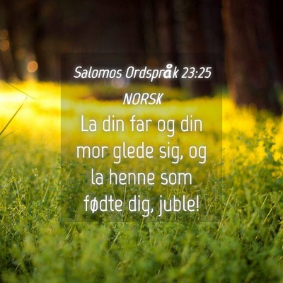Picture 04 - Salomos Ordspråk 23:25 NORSK - La din far og din mor glede sig, og la henne som - Bible Verse Picture