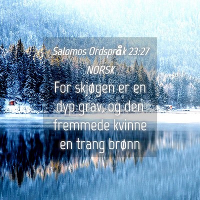 Picture 04 - Salomos Ordspråk 23:27 NORSK - For skjøgen er en dyp grav, og den fremmede - Bible Verse Picture