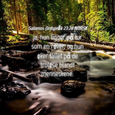 Picture 04 - Salomos Ordspråk 23:28 NORSK - ja, hun ligger på lur som en røver, og hun - Bible Verse Picture