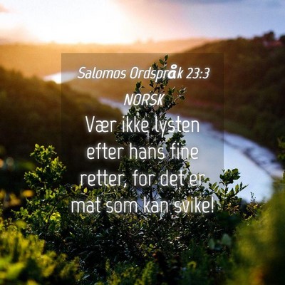 Picture 04 - Salomos Ordspråk 23:3 NORSK - Vær ikke lysten efter hans fine retter, for det - Bible Verse Picture