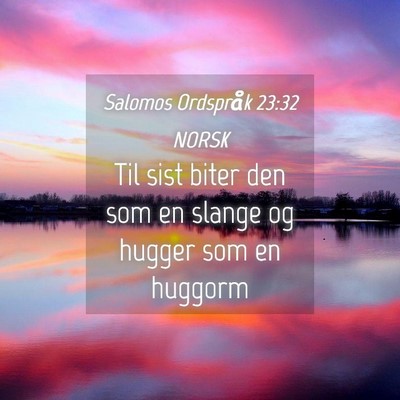 Picture 04 - Salomos Ordspråk 23:32 NORSK - Til sist biter den som en slange og hugger som en - Bible Verse Picture