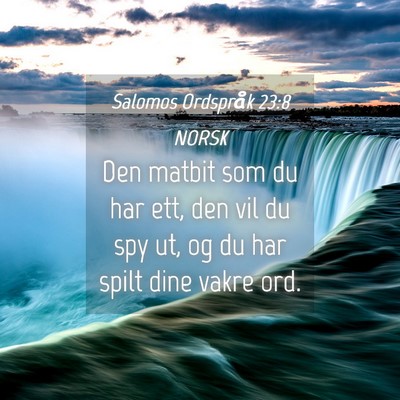 Picture 04 - Salomos Ordspråk 23:8 NORSK - Den matbit som du har ett, den vil du spy ut, og - Bible Verse Picture