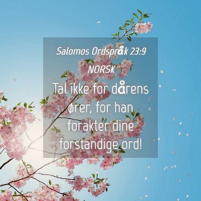 Picture 04 - Salomos Ordspråk 23:9 NORSK - Tal ikke for dårens ører, for han forakter dine - Bible Verse Picture
