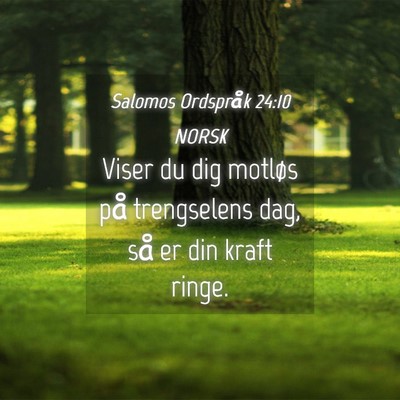 Picture 04 - Salomos Ordspråk 24:10 NORSK - Viser du dig motløs på trengselens dag, så er - Bible Verse Picture