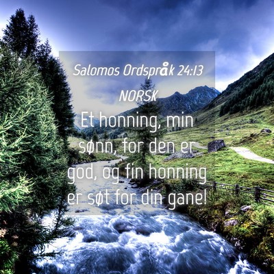 Picture 04 - Salomos Ordspråk 24:13 NORSK - Et honning, min sønn, for den er god, og fin - Bible Verse Picture