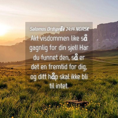 Picture 04 - Salomos Ordspråk 24:14 NORSK - Akt visdommen like så gagnlig for din sjel! Har - Bible Verse Picture