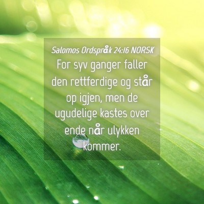 Picture 04 - Salomos Ordspråk 24:16 NORSK - For syv ganger faller den rettferdige og står op - Bible Verse Picture