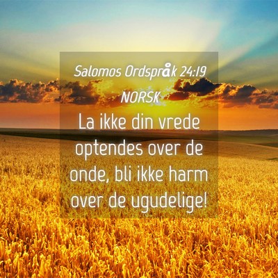 Picture 04 - Salomos Ordspråk 24:19 NORSK - La ikke din vrede optendes over de onde, bli ikke - Bible Verse Picture