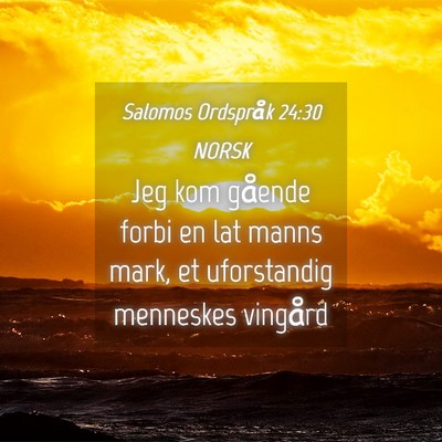 Picture 04 - Salomos Ordspråk 24:30 NORSK - Jeg kom gående forbi en lat manns mark, et - Bible Verse Picture