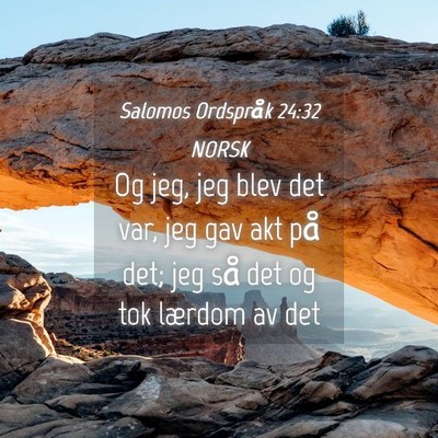 Picture 04 - Salomos Ordspråk 24:32 NORSK - Og jeg, jeg blev det var, jeg gav akt på det; - Bible Verse Picture