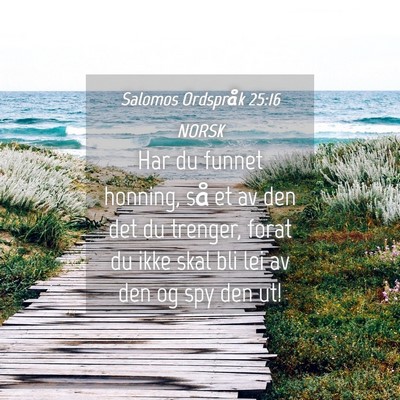 Picture 04 - Salomos Ordspråk 25:16 NORSK - Har du funnet honning, så et av den det du - Bible Verse Picture