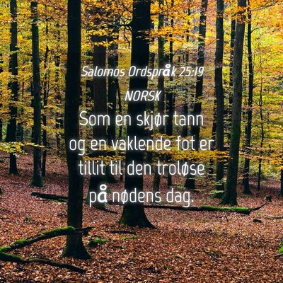 Picture 04 - Salomos Ordspråk 25:19 NORSK - Som en skjør tann og en vaklende fot er tillit - Bible Verse Picture