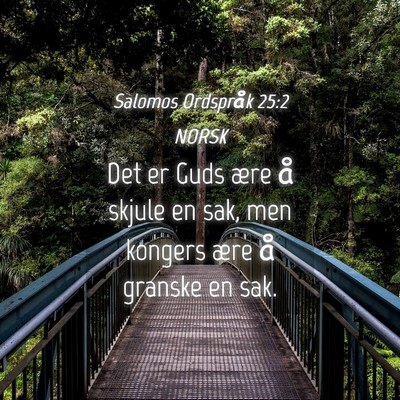 Picture 04 - Salomos Ordspråk 25:2 NORSK - Det er Guds ære å skjule en sak, men kongers - Bible Verse Picture