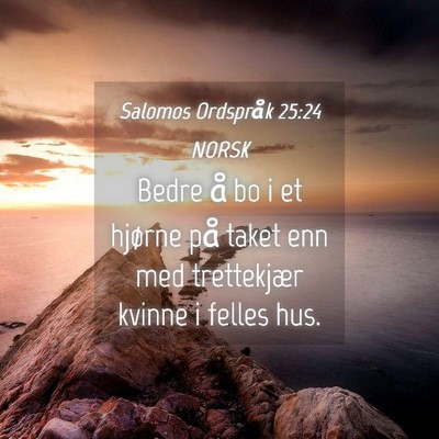 Picture 04 - Salomos Ordspråk 25:24 NORSK - Bedre å bo i et hjørne på taket enn med - Bible Verse Picture