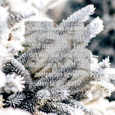 Picture 04 - Salomos Ordspråk 25:8 NORSK - Gi dig ikke for hastig i strid med nogen, forat - Bible Verse Picture