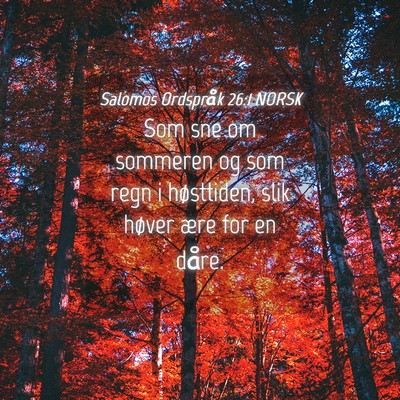 Picture 04 - Salomos Ordspråk 26:1 NORSK - Som sne om sommeren og som regn i høsttiden, - Bible Verse Picture