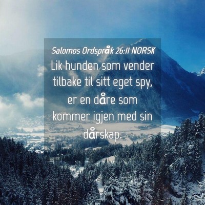 Picture 04 - Salomos Ordspråk 26:11 NORSK - Lik hunden som vender tilbake til sitt eget spy, - Bible Verse Picture