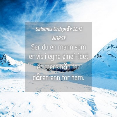 Picture 04 - Salomos Ordspråk 26:12 NORSK - Ser du en mann som er vis i egne øine(-)det er - Bible Verse Picture