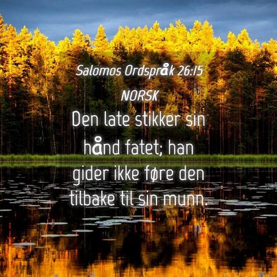 Picture 04 - Salomos Ordspråk 26:15 NORSK - Den late stikker sin hånd fatet; han gider ikke - Bible Verse Picture