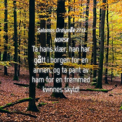 Picture 04 - Salomos Ordspråk 27:13 NORSK - Ta hans klær, han har gått i borgen for en - Bible Verse Picture