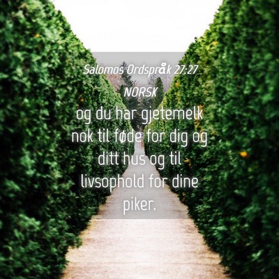Picture 04 - Salomos Ordspråk 27:27 NORSK - og du har gjetemelk nok til føde for dig og ditt - Bible Verse Picture