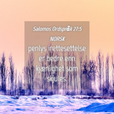 Picture 04 - Salomos Ordspråk 27:5 NORSK - penlys irettesettelse er bedre enn kjærlighet - Bible Verse Picture