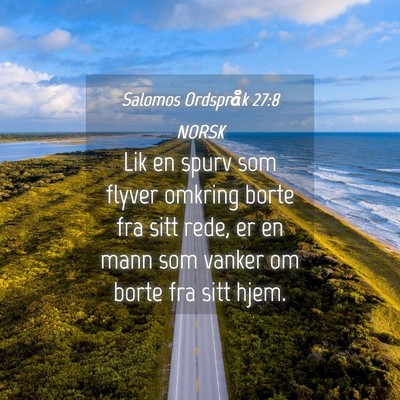 Picture 04 - Salomos Ordspråk 27:8 NORSK - Lik en spurv som flyver omkring borte fra sitt - Bible Verse Picture