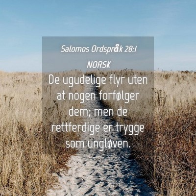 Picture 04 - Salomos Ordspråk 28:1 NORSK - De ugudelige flyr uten at nogen forfølger dem; - Bible Verse Picture