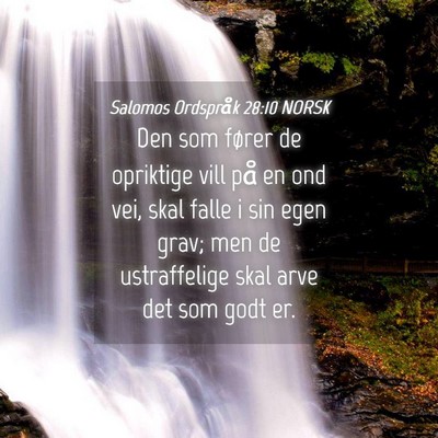 Picture 04 - Salomos Ordspråk 28:10 NORSK - Den som fører de opriktige vill på en ond vei, - Bible Verse Picture
