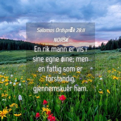 Picture 04 - Salomos Ordspråk 28:11 NORSK - En rik mann er vis i sine egne øine; men en - Bible Verse Picture