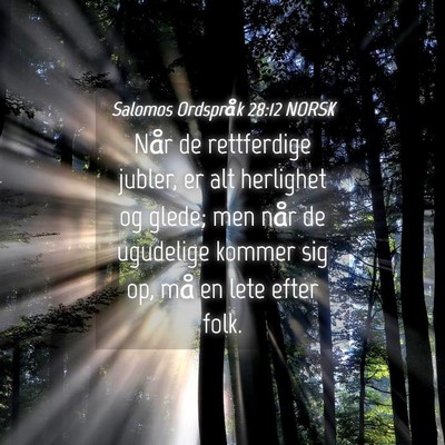 Picture 04 - Salomos Ordspråk 28:12 NORSK - Når de rettferdige jubler, er alt herlighet og - Bible Verse Picture