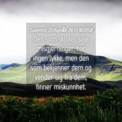 Picture 04 - Salomos Ordspråk 28:13 NORSK - Den som skjuler sine misgjerninger, har ingen - Bible Verse Picture