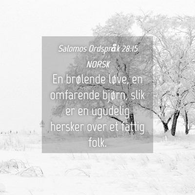 Picture 04 - Salomos Ordspråk 28:15 NORSK - En brølende løve, en omfarende bjørn, slik er - Bible Verse Picture
