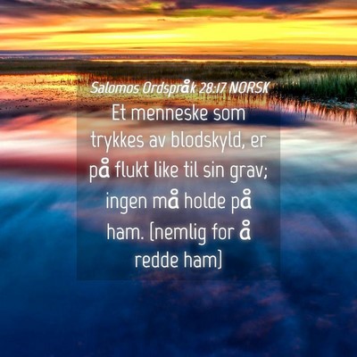 Picture 04 - Salomos Ordspråk 28:17 NORSK - Et menneske som trykkes av blodskyld, er på - Bible Verse Picture