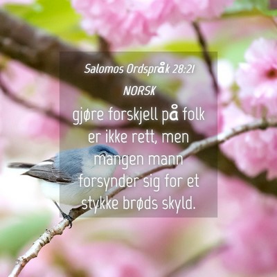 Picture 04 - Salomos Ordspråk 28:21 NORSK - gjøre forskjell på folk er ikke rett, men - Bible Verse Picture
