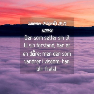 Picture 04 - Salomos Ordspråk 28:26 NORSK - Den som setter sin lit til sin forstand, han er - Bible Verse Picture