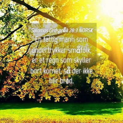 Picture 04 - Salomos Ordspråk 28:3 NORSK - En fattig mann som undertrykker småfolk, er et - Bible Verse Picture