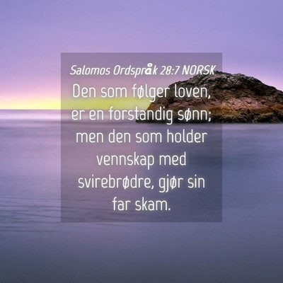 Picture 04 - Salomos Ordspråk 28:7 NORSK - Den som følger loven, er en forstandig sønn; - Bible Verse Picture