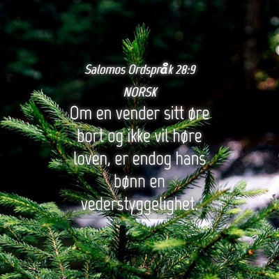 Picture 04 - Salomos Ordspråk 28:9 NORSK - Om en vender sitt øre bort og ikke vil høre - Bible Verse Picture