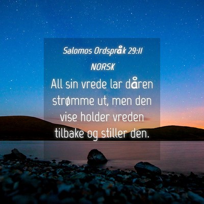 Picture 04 - Salomos Ordspråk 29:11 NORSK - All sin vrede lar dåren strømme ut, men den - Bible Verse Picture