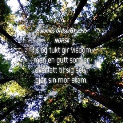 Picture 04 - Salomos Ordspråk 29:15 NORSK - Ris og tukt gir visdom; men en gutt som er - Bible Verse Picture