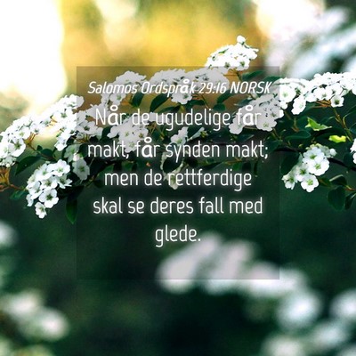 Picture 04 - Salomos Ordspråk 29:16 NORSK - Når de ugudelige får makt, får synden makt; - Bible Verse Picture